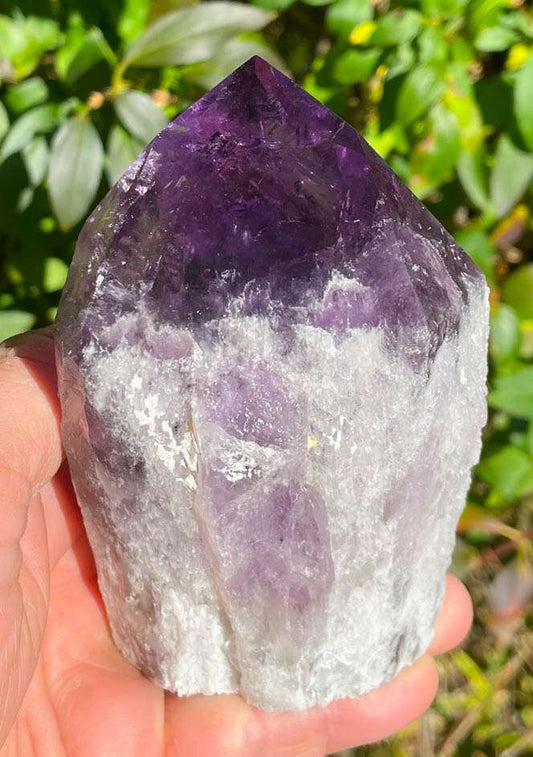 XL Amethyst Spitze Brasilien 592g - Amethystdruse - Kristall - A Qualität #6565