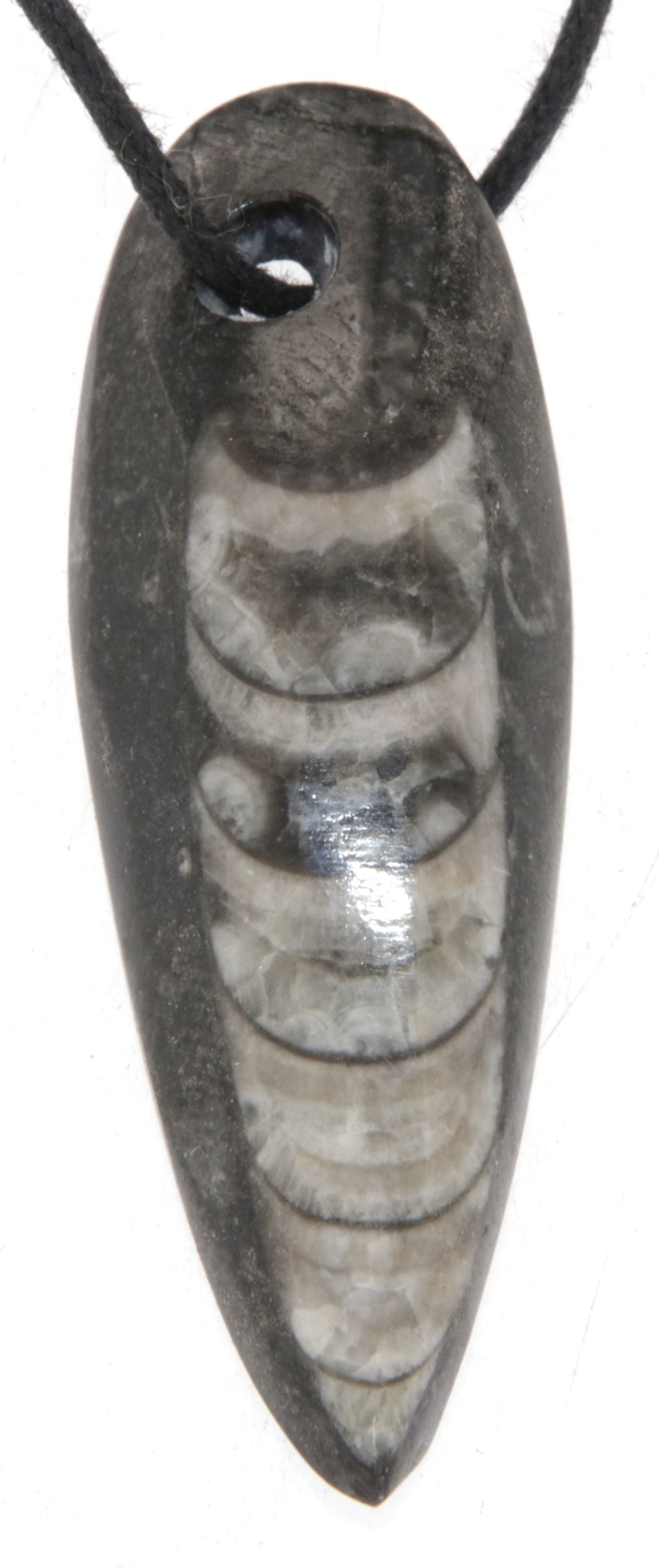 Orthoceras - Trommelstein Edelstein Schmuck Ketten Anhänger - Edelstein A Qualität #5804