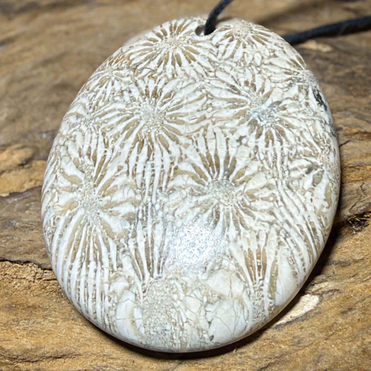 versteinerte-koralle-edelstein-schmuck-ketten-anhaenger-trommelstein-heilstein-kristall-191026