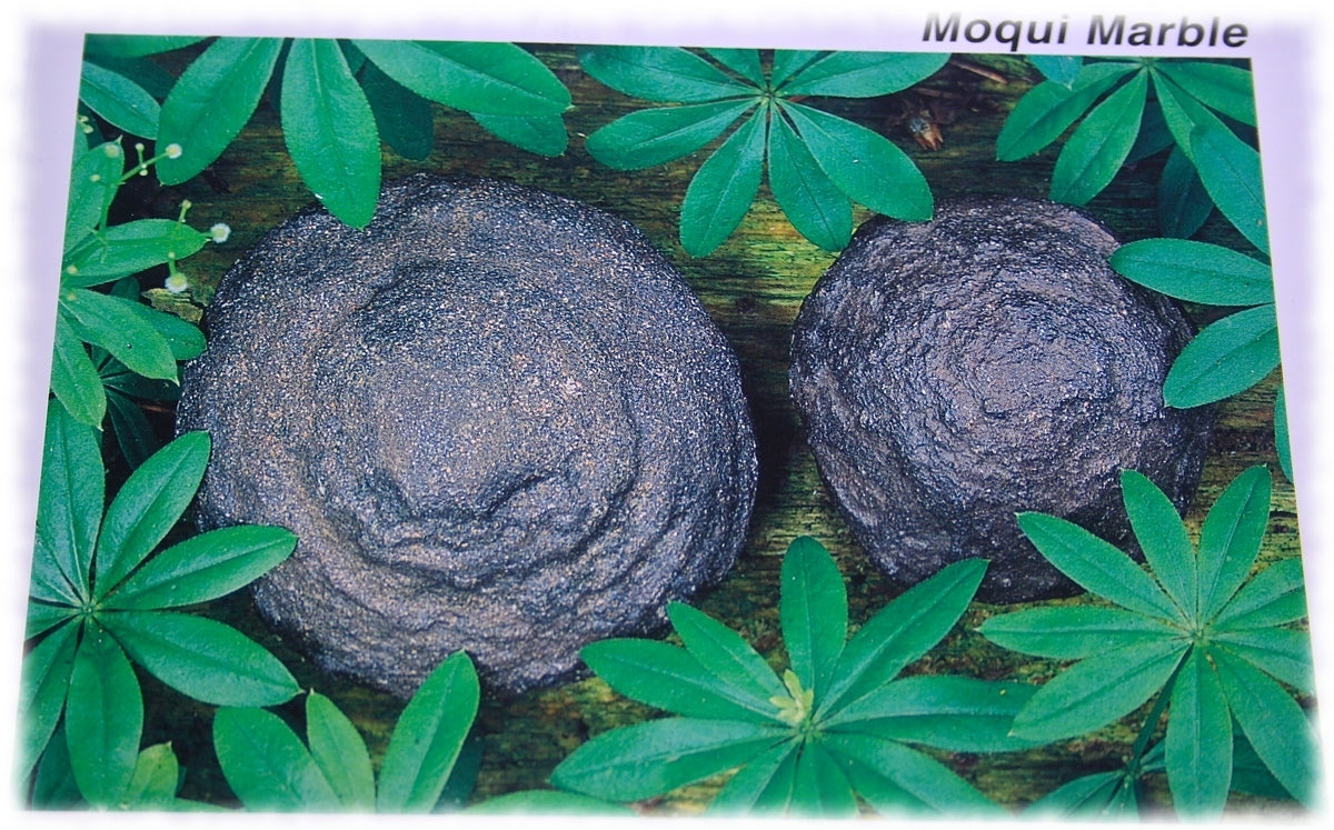Moqui Marbles - L - lebende Steine - Indianerstein - Schutzsteine - Utah ca. 3 cm