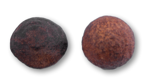 Moqui Marbles - lebende Steine - Indianerstein - Schutzsteine - Utah ca. 2 - 2,5 cm