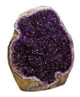 XL Amethyst Druse Uruguay 8230g - Amethystdruse - Mineralien - AA Qualität #3392