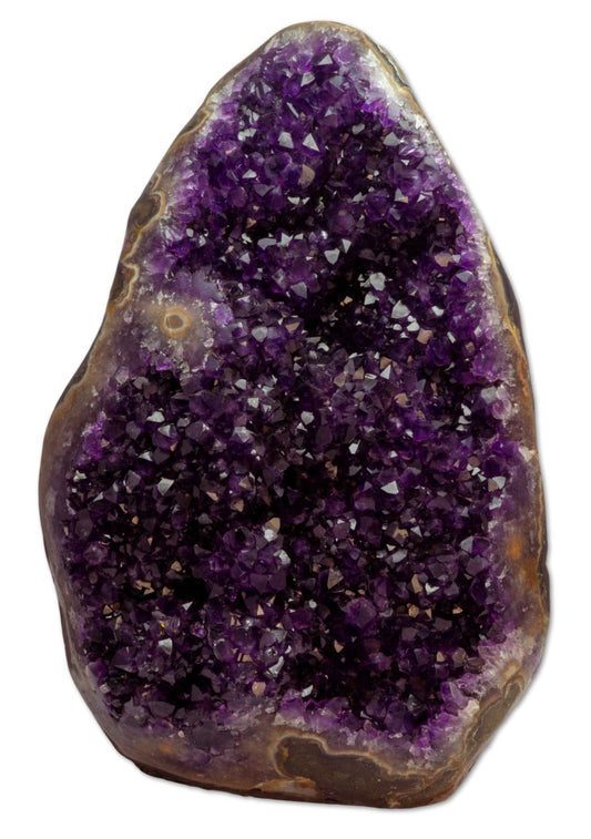 traumhafte XL Amethyst Druse Uruguay 12165g - Amethystdruse - AA Qualität #5621