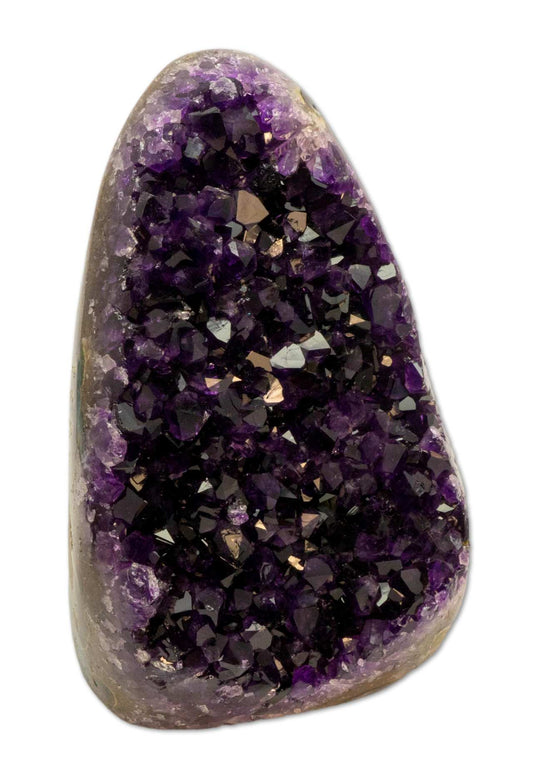 traumhafte Amethyst Druse Uruguay 1336g - Amethystdruse - AA Qualität #5638