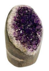 Amethyst Druse Uruguay 432g - Amethystdruse - Mineralien - Edelstein - A Qualität #5617