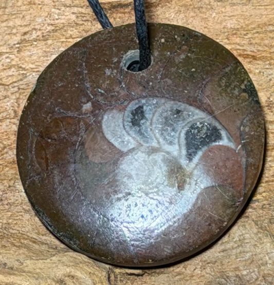 Ammonit Trommelstein Edelstein Schmuck Ketten Anhänger - A Qualität #7089