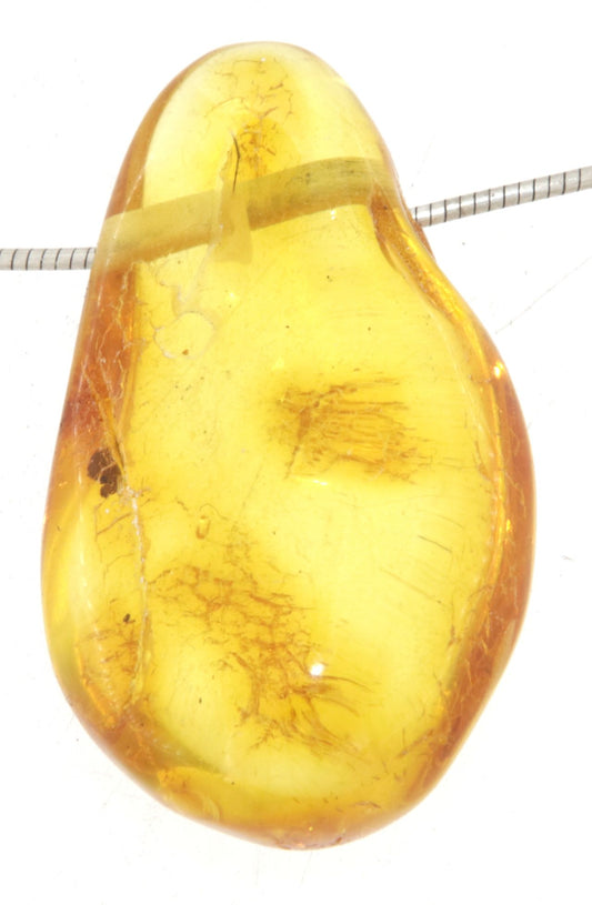 Bernstein Schmuck Ketten Anhänger - baltic amber #0139