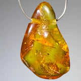 Bernstein Edelstein Schmuck Ketten Anhänger - baltic amber #7227 - seelensteinchen