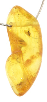 Bernstein Edelstein Schmuck Anhänger - baltic amber #6703