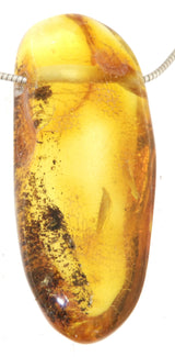 Bernstein Edelstein Schmuck Ketten Anhänger - baltic amber #6645
