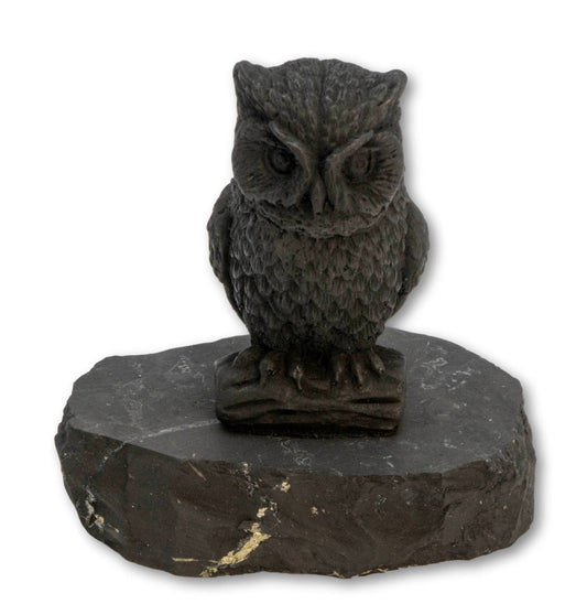 Schungit Eule Figur – Edelstein auf Schungitplatte (ca. 6 × 5 × 7 cm)