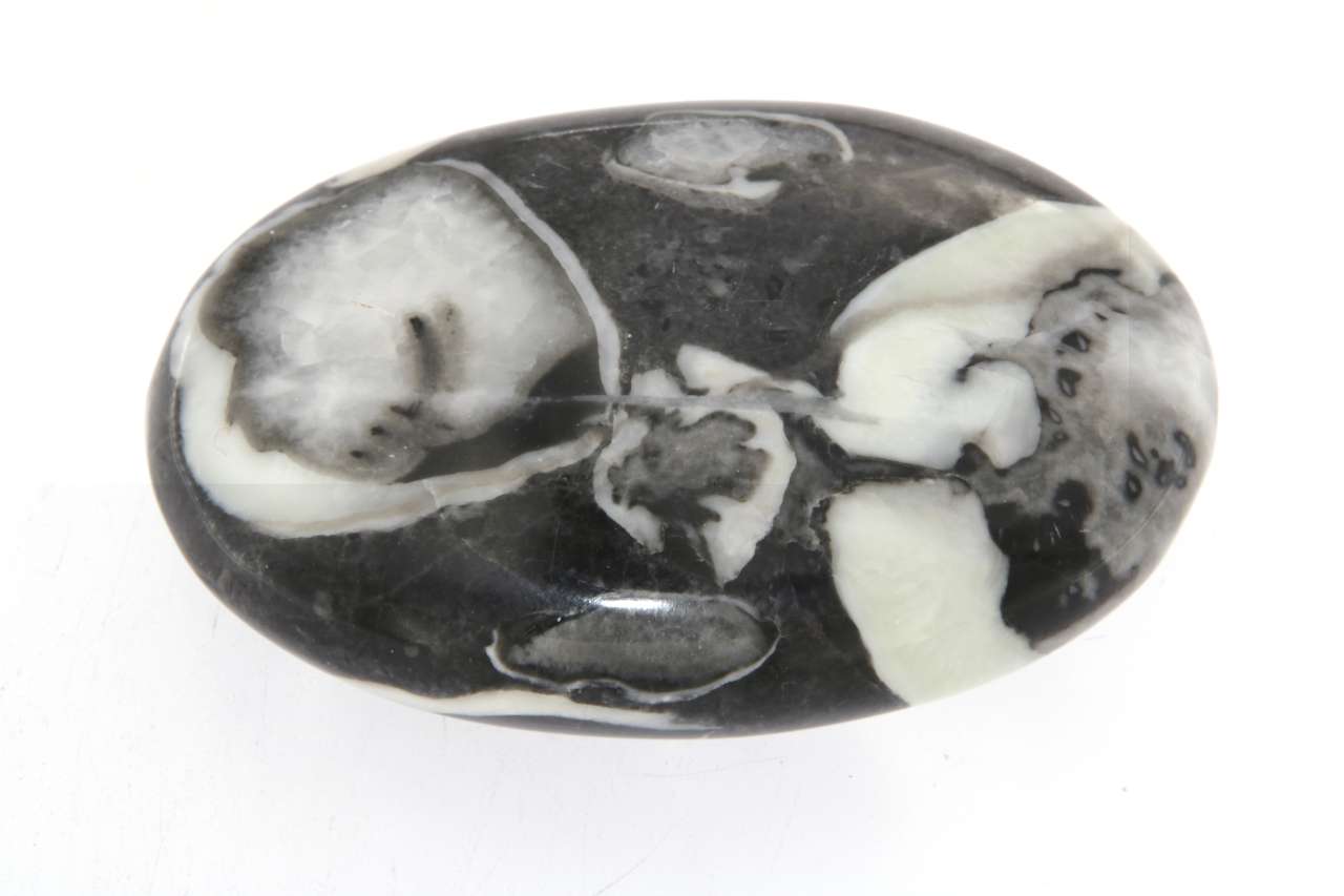 Fossilienkalk Seifenstein A Qualität XL - Massage 7x5x2cm - Seifenstein - Handschmeichler