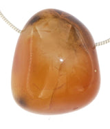Sonderqualität Karneol Trommelstein Edelstein Schmuck Ketten Anhänger - A Qualität #4029