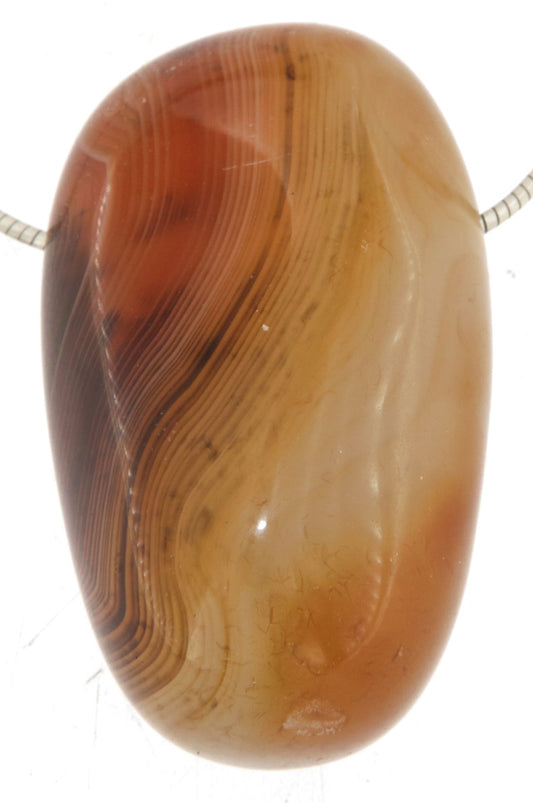 Sonderqualität Karneol Trommelstein Edelstein Schmuck Ketten Anhänger - A Qualität #0148