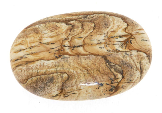 Landschaftsjaspis - Jaspis Seifenstein A Qualität XL - Massage 7x5x2cm - Seifenstein - Handschmeichler #6841