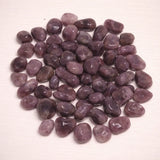 Lepidolite Small - Gemstone - Tumbled Stone - Palm Stone - A Quality #6665