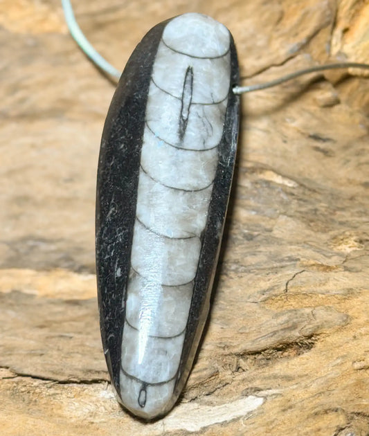orthoceras-edelstein-trommelstein-heilstein-schmuck-ketten-anhaenger-seelensteinchen-020626