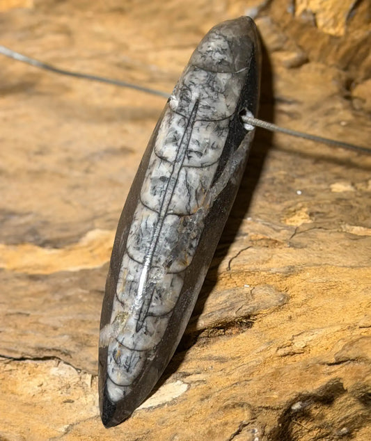 orthoceras-edelstein-trommelstein-schmuck-ketten-anhaenger-heilstein-080726