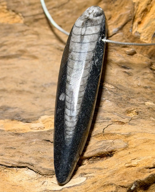 orthoceras-edelstein-trommelstein-schmuck-ketten-anhaenger-heilstein-180926