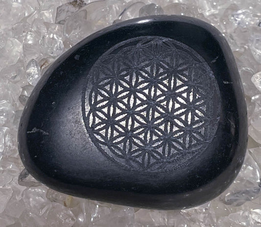 XL Schungit Edelstein - Blume des Lebens - Trommelstein - Handschmeichler - Auflagestein - A Qualität #5810