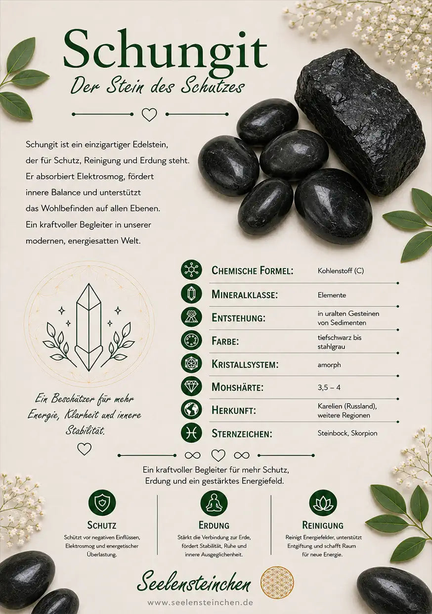 schungit-edelstein-mineralien-heilstein-information-karte-geschenk-seelensteinchen-260626