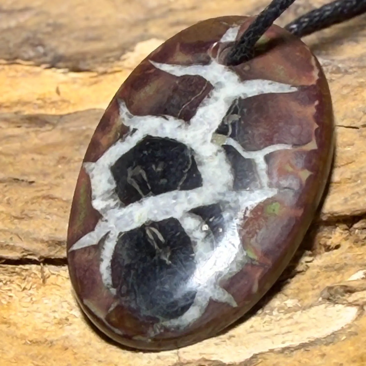 septarieni-edelstein-trommelstein-schmuck-anhaenger-kette-collier-heilstein-200826