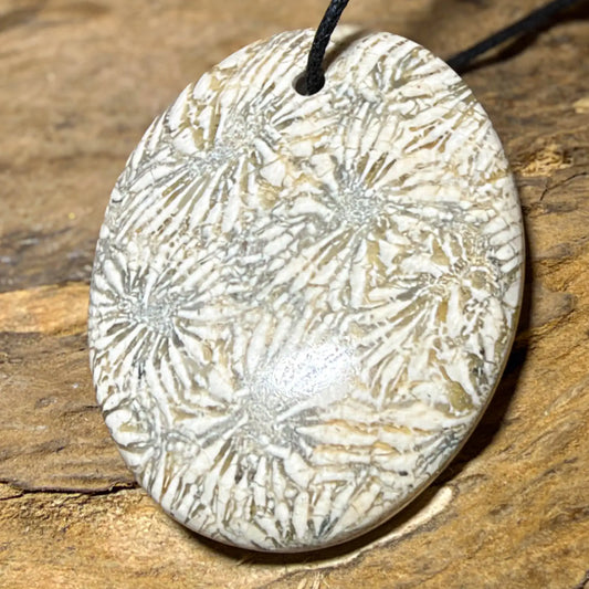 versteinerte-koralle-edelstein-schmuck-ketten-anhaenger-heilstein-231026