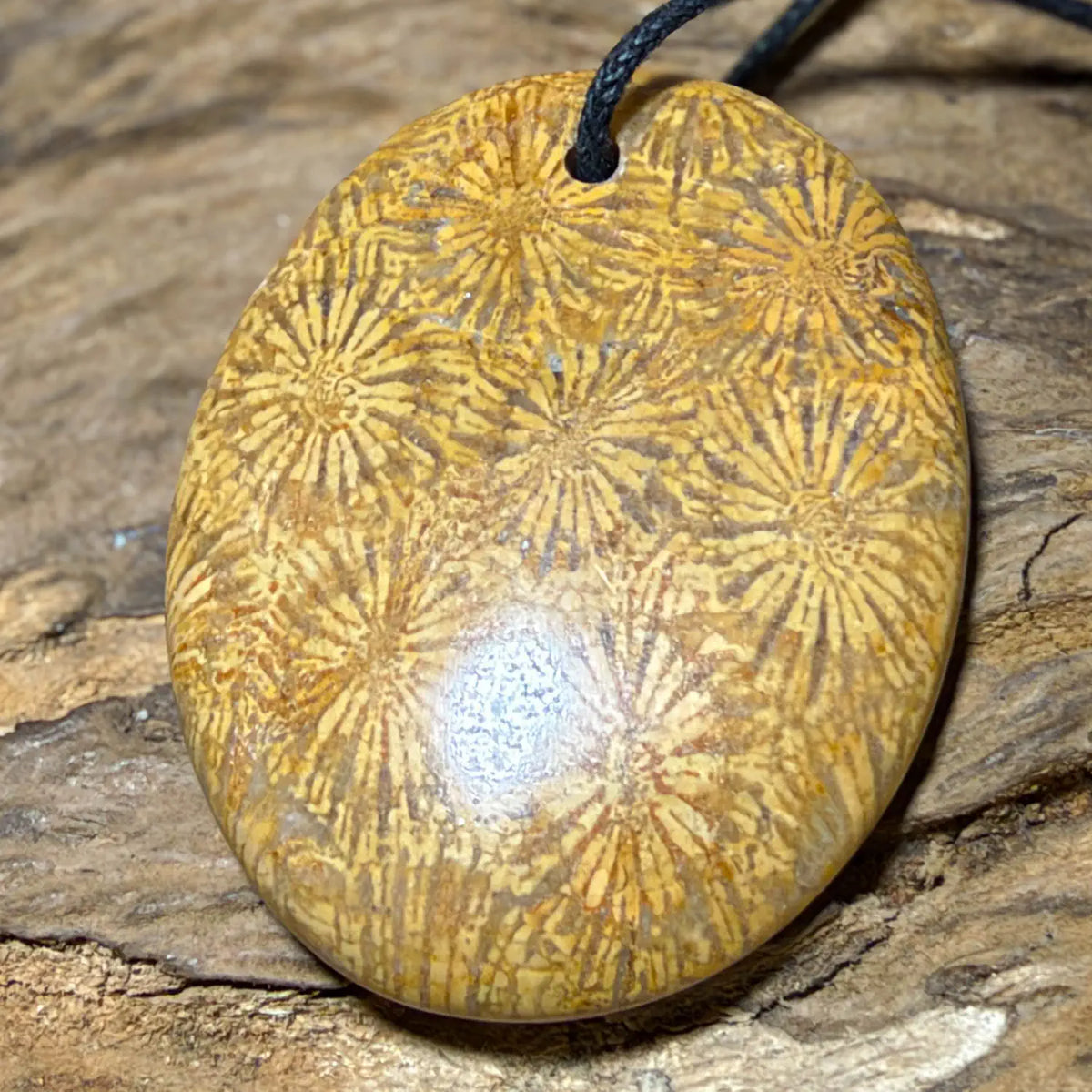 versteinerte-koralle-edelstein-schmuck-ketten-anhaenger-trommelstein-heilstein-kristall-191026-2
