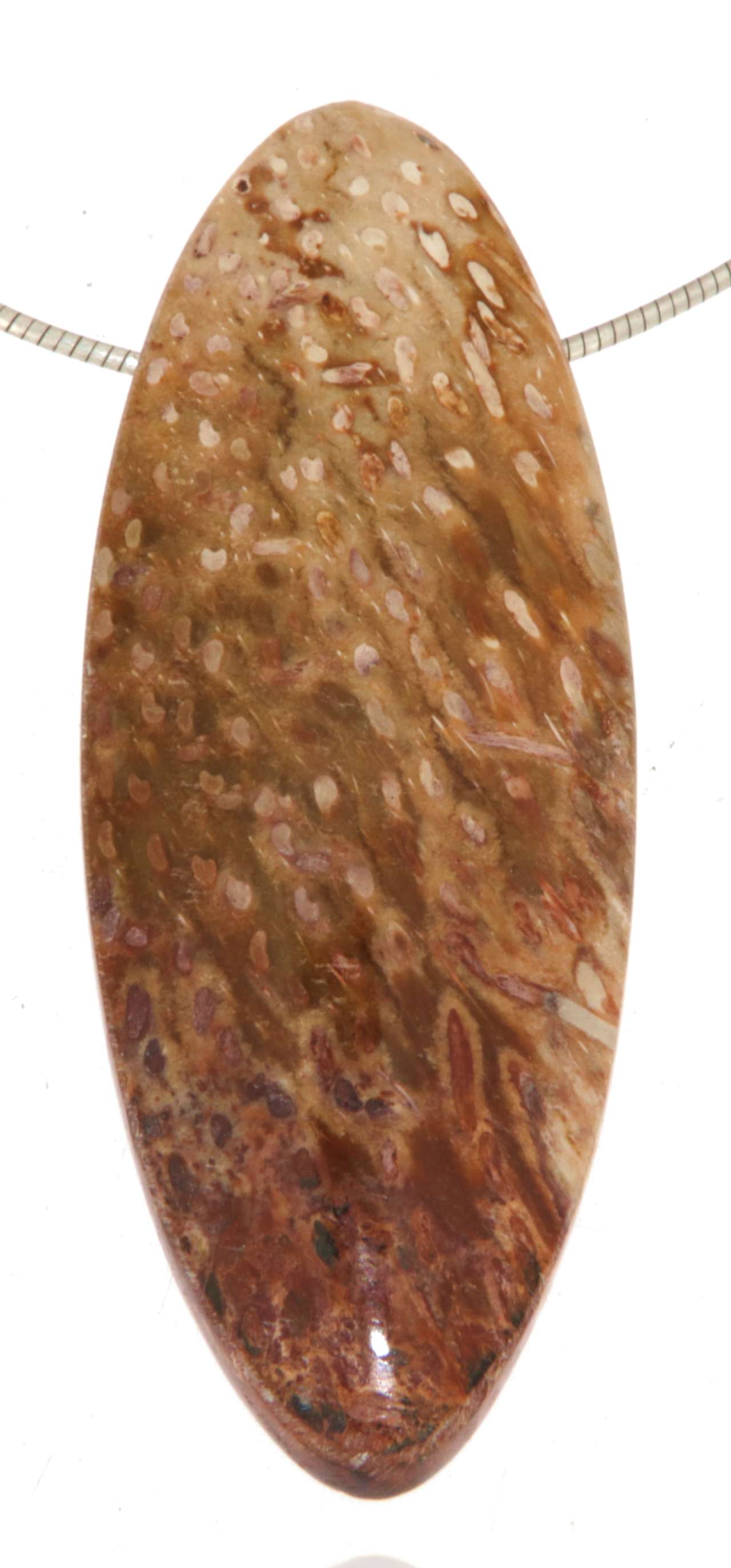 versteinertes Holz Trommelstein Schmuck Ketten Anhänger - A Qualität #2980