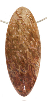 versteinertes Holz Trommelstein Schmuck Ketten Anhänger - A Qualität #2980