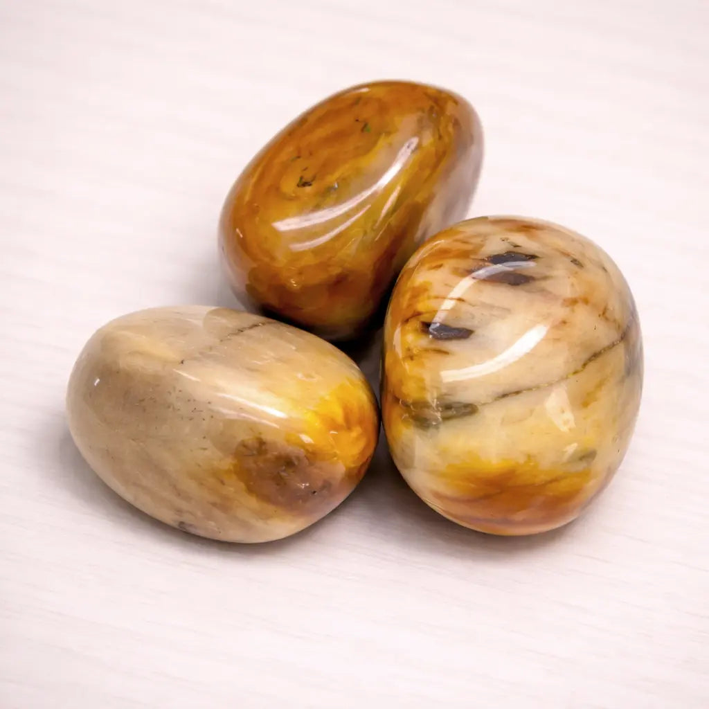 versteinertes-holz-edelstein-trommelstein-handschmeichler-entspannung-massage-chakra-seelensteinchen